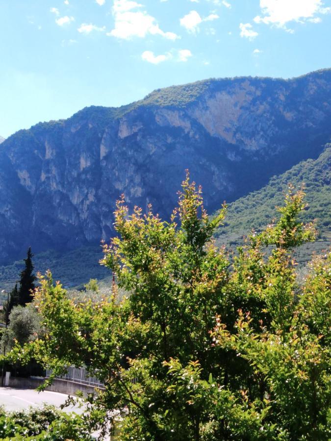 Casa Akira Apartment Riva del Garda Bagian luar foto