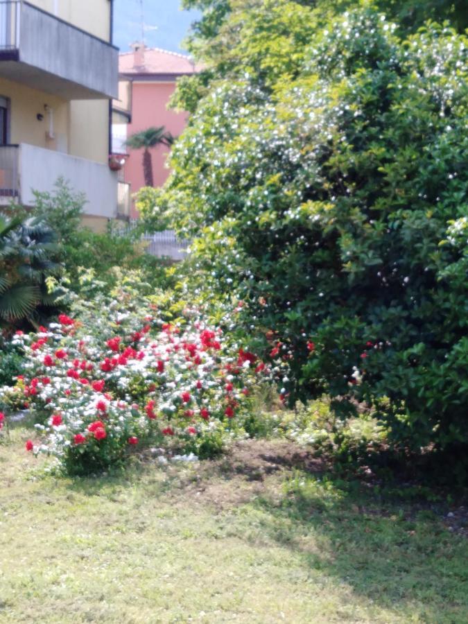 Casa Akira Apartment Riva del Garda Bagian luar foto